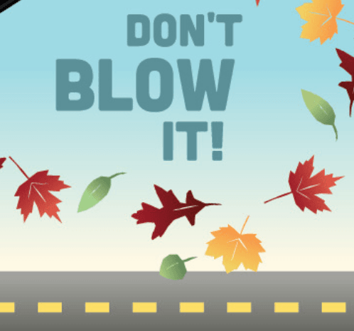 Dont Blow It-Leaves2